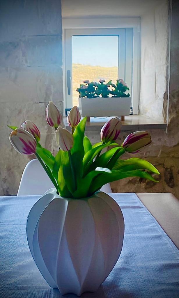 Mary Home Sicily Deluxe Raguse Extérieur photo
